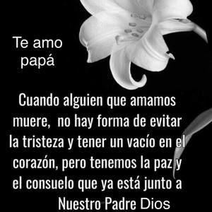 Meet your Posher, Luis